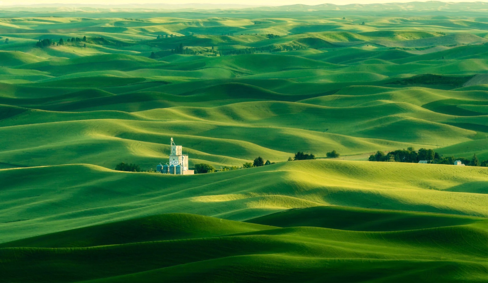 Rolling green landscape
